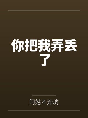 你把我弄丢了封面
