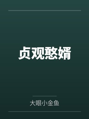 韦浩李世民贞观憨婿封面
