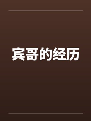 非正经是什么意思封面