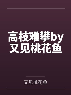 牝马传封面
